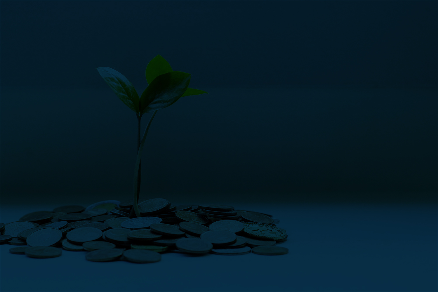 tax money trees 